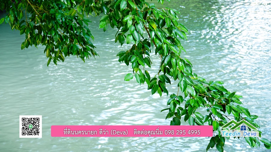 (ðī āļāļīāļāļāļēāļĢāļāļēāļĒ) āļāļĩāđāļāļīāļāļāļāļĢāļāļēāļĒāļ āļāļīāļāļĨāļģāļāļēāļĢ āļāļĨāļđāļāļāļĨāđāļĄāđ 8 āđāļĢāđ 2 āļāļēāļ āļ.āļŠāļēāļĢāļīāļāļē āļ.āđāļĄāļ·āļāļ āļ.āļāļāļĢāļāļēāļĒāļ