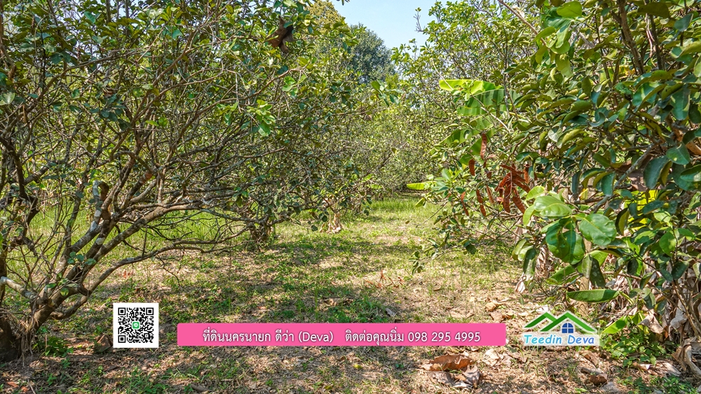 ขายสวนผลไม้ ทำเลดี ใกล้แหล่งท่องเที่ยว ขนาด 1-2-94 ไร่ ต.สาริกา อ.เมือง จ.นครนายก