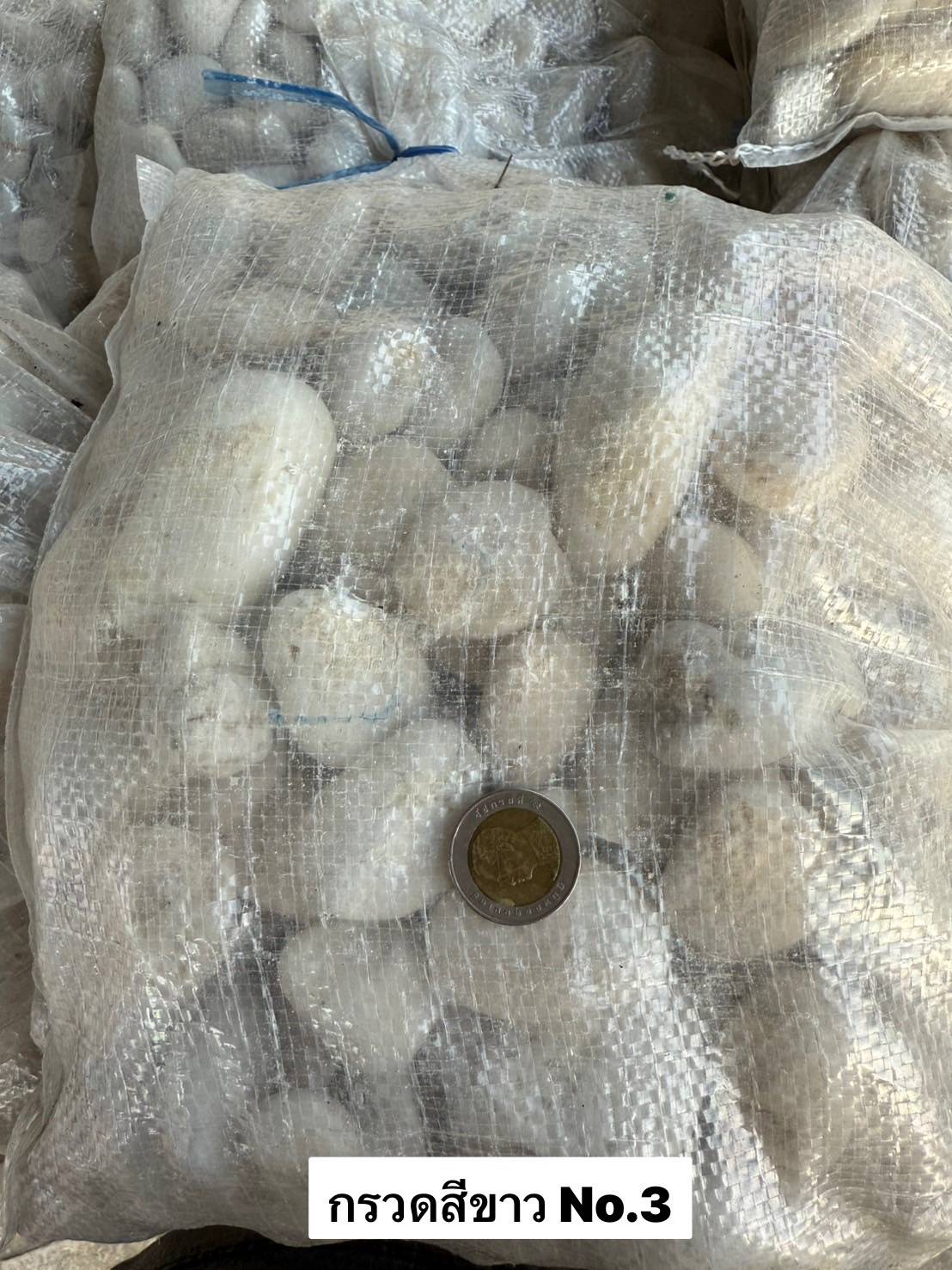 หินกรวดสีขาว No.03