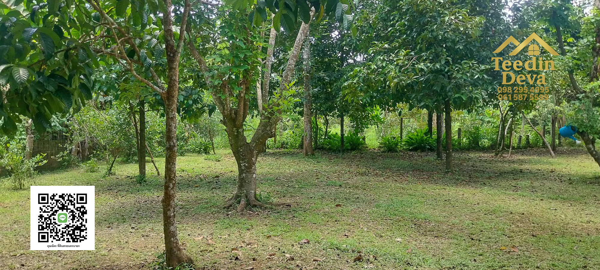 🌿 บ้านสวนในฝัน พร้อมอยู่ ใกล้เขื่อนขุนด่าน เนื้อที่ 1 ไร่ ต.สาริกา อ.เมือง จ.นครนายก 🏡