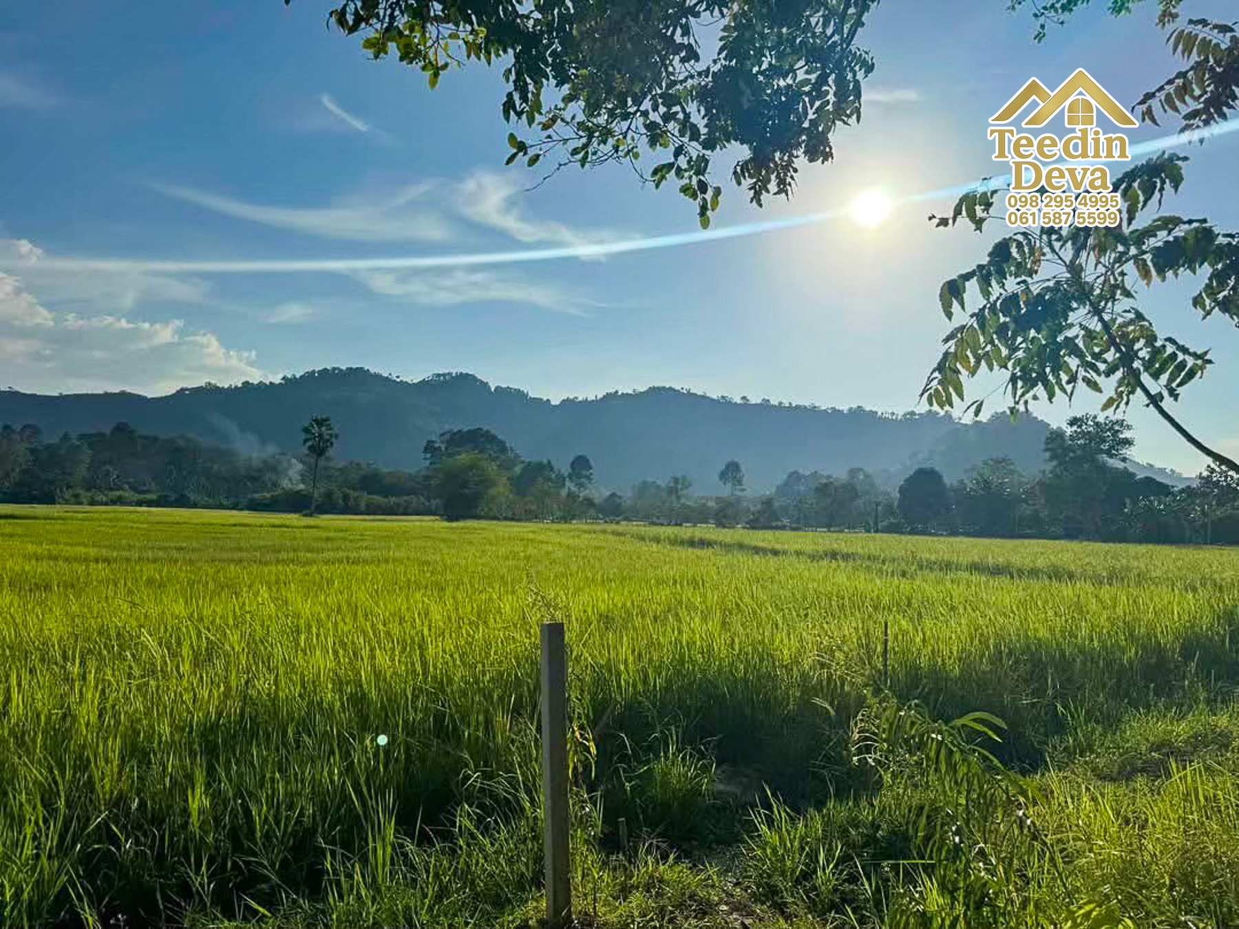 🏞️ ที่ดินวิวภูเขา จุดเริ่มต้นของบ้านในฝัน เนื้อที่ 300 ตารางวา ต.เขาพระ อ.เมือง จ.นครนายก