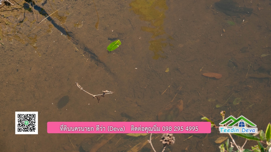 (ติดจอง) ที่ดินนครนายก บ้านสวน พร้อมที่ดิน ขนาด 1 ไร่ 1 งาน วิวภูเขาสวย อยู่ใกล้เขื่อนขุนด่านปราการชล