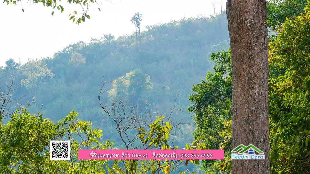 ที่ดินนครนายก วิวเขาพระ เขาใหญ่ ⭐ อยู่ใกล้แหล่งท่องเที่ยว เดินทางสะดวก ต.เขาพระ อ.เมือง จ.นครนายก