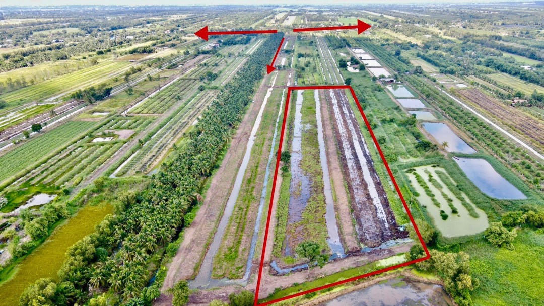 📢 ที่ดินแบ่งขายทำเลดี คลอง 11 หนองเสือ ปทุมธานี (รพีพัฒน์ เฟส 3) 🎗️