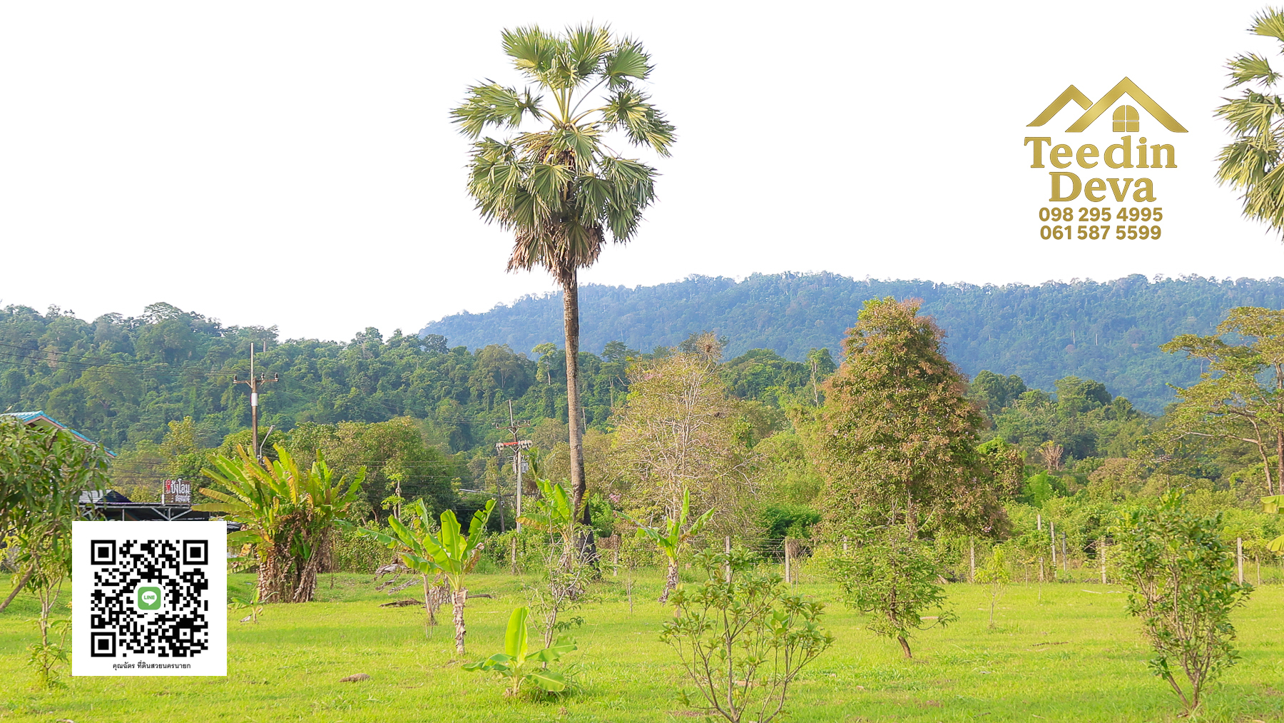 🌿 เริ่มต้นความสุขเล็ก ๆ ด้วยที่ดินแปลงสวย วิวเขา กลางธรรมชาติ ต.สาริกา อ.เมือง จ.นครนายก 💚