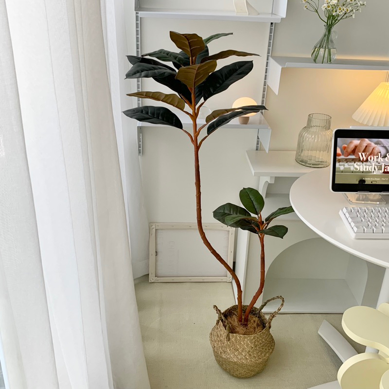 [พร้อมส่ง] Jnihouse : ต้นยางอินเดียประดิษฐ์ (Rubber Plant)(Tree)