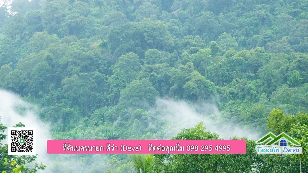 ที่ดินนครนายก สวนผลไม้ขนาดเล็ก 155 ตร.ว. ด้านหลังติดลำธาร