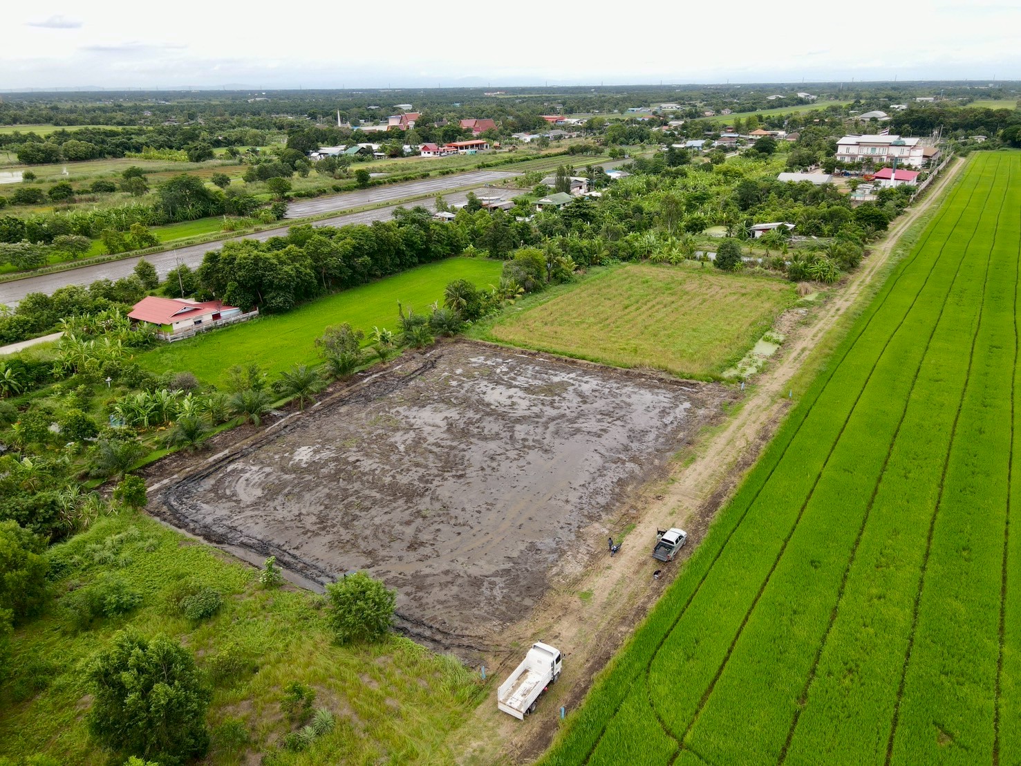 "ที่ดินในฝัน ใกล้เมือง 🌿 1 ไร่ – คลอง 8 หนองเสือ จ.ปทุมธานี"
