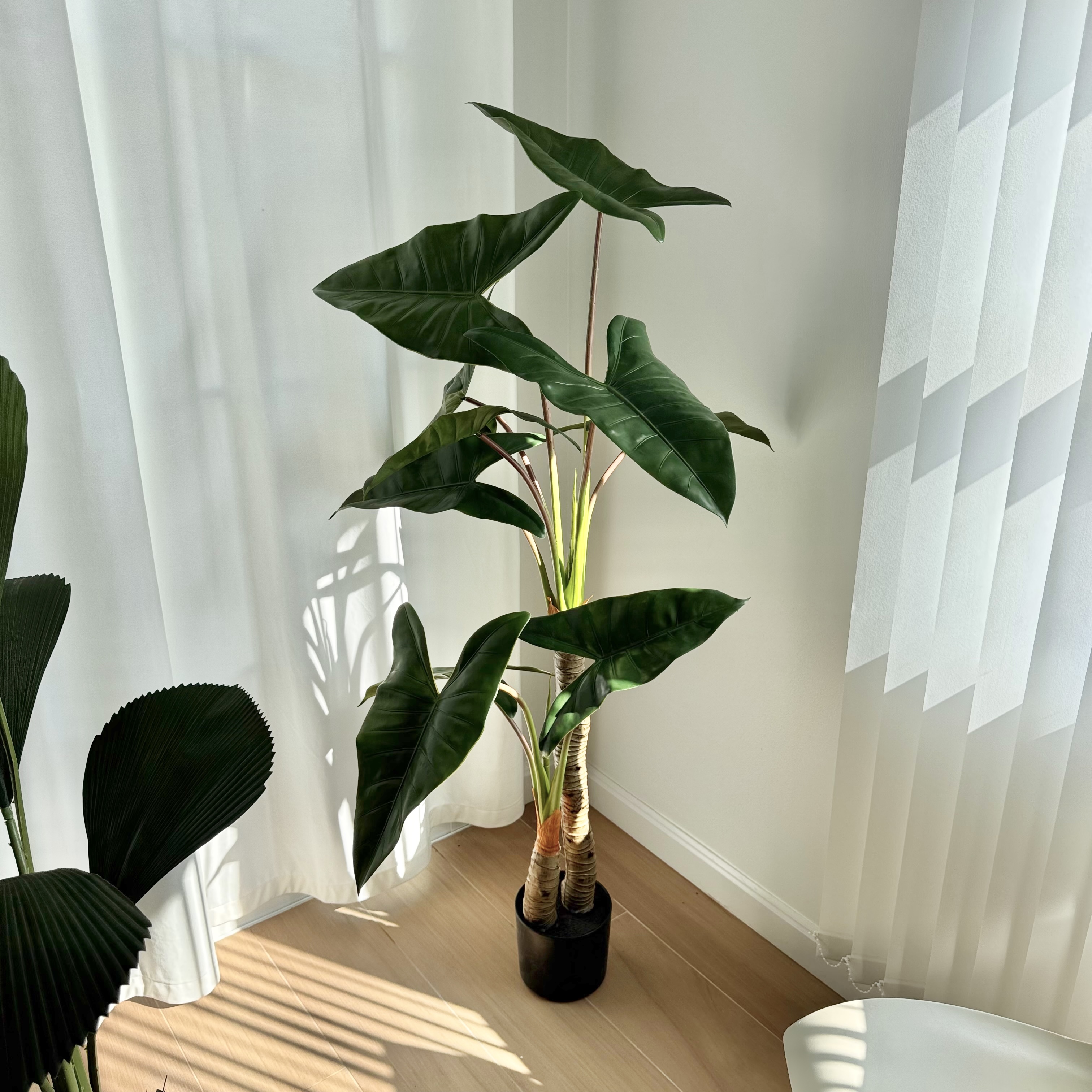 [พร้อมส่ง] Jnihouse : ต้นฟิโลเดนดรอน ก้านส้ม (ต้นไม้ประดิษฐ์)(Tree)