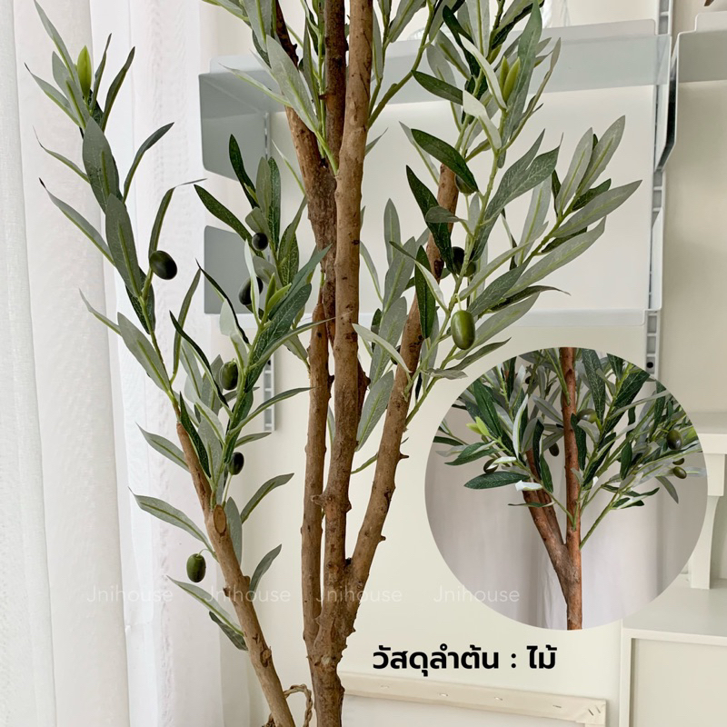 [พร้อมส่ง] Jnihouse : ต้นมะกอกปลอม สูง 1.6 1.8 เมตร ลำต้นทำจากไม้ (Olive Tree)