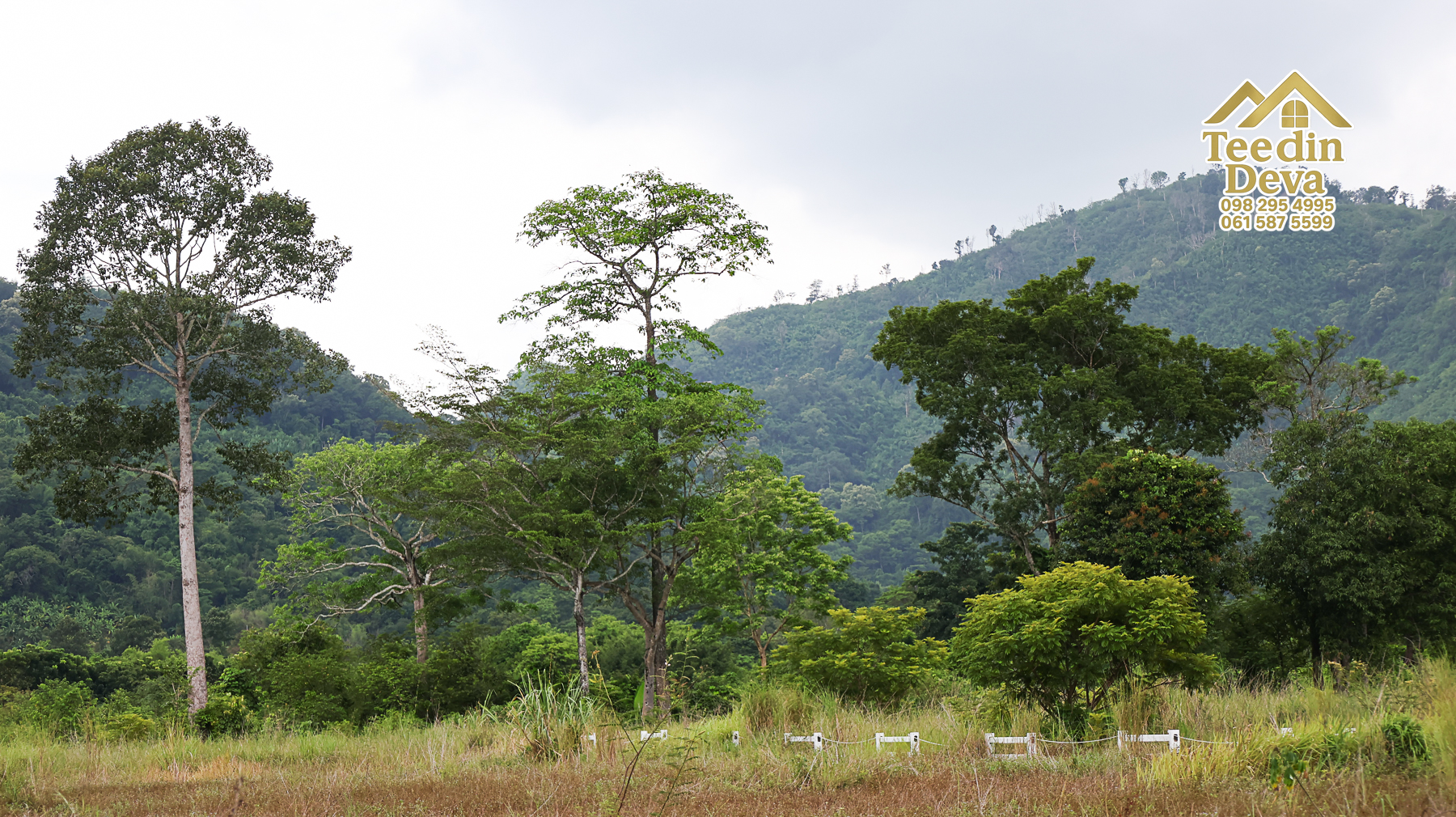 🌿 “ที่ดินในฝัน...ริมสายน้ำ ใต้เงาภูเขา” 2 ไร่ 3 งาน 84 ตรว. ต.เขาพระ อ.เมือง จ.นครนายก 🏞️