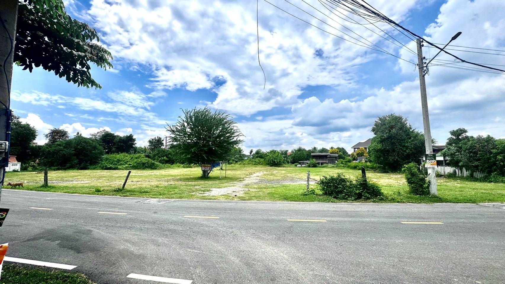 ขายที่ดิน ราชบุรี แปลงใหญ่ สำหรับสร้างหมู่บ้าน พื้นที่รวมประมาณ 4 ไร่ 3 งาน 39 ตารางวา ทำเลศักยภาพสูง 🚗 จุดเด่นของที่ดิน ✅ ติดถนน 3 ด้าน เข้า-ออกได้หลายทาง ✅ ติดคลองชลประทาน บรรยากาศร่มรื่น ลมดีตลอดปี ✅ รายล้อมด้วย ชุมชน โรงเ