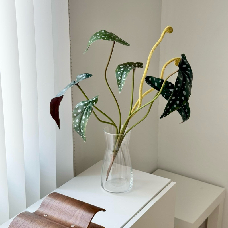 [พร้อมส่ง] Jnihouse : กิ่งบีโกเนียลายจุด (Artificial Begonia Maculata Tree)