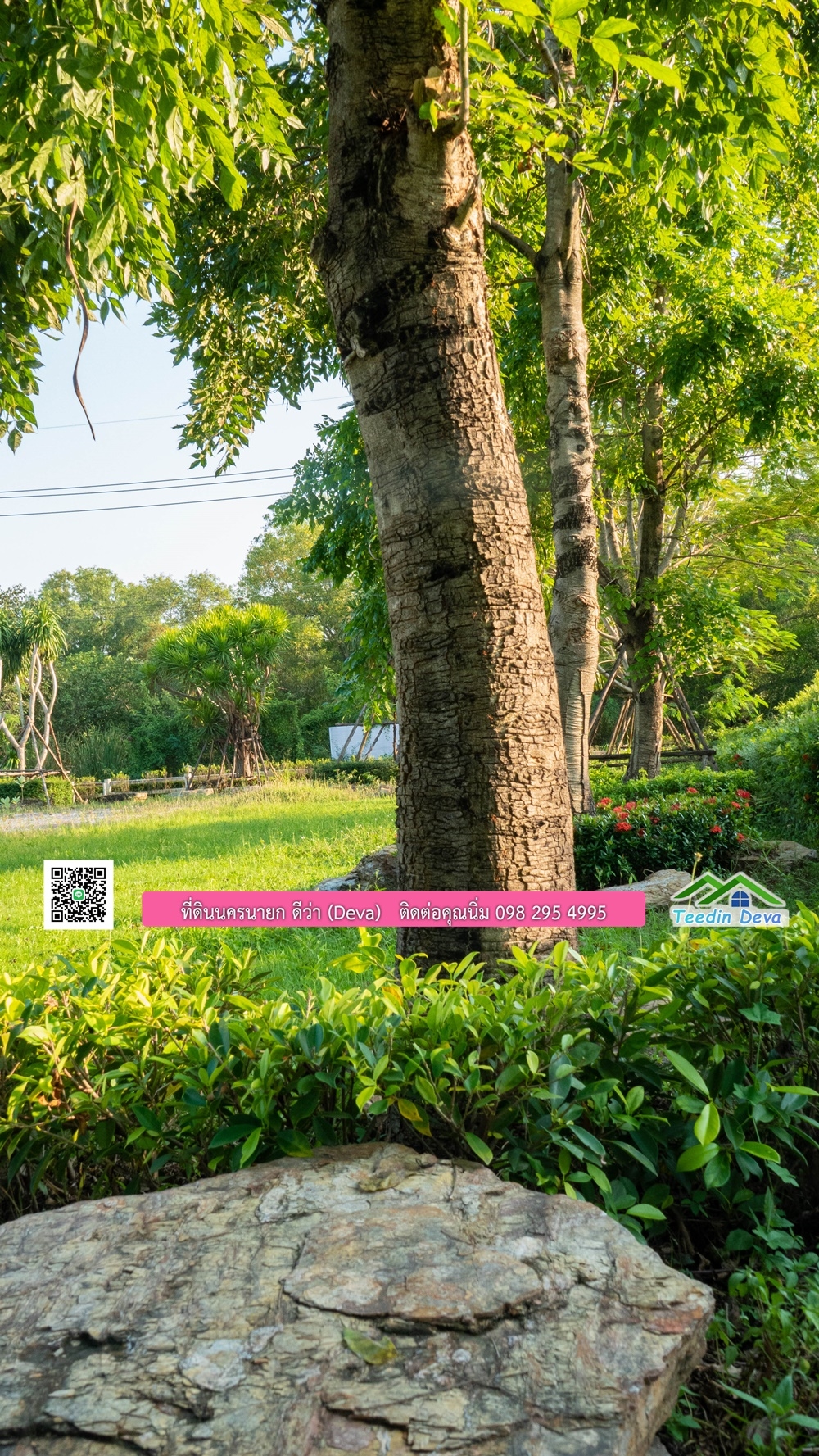 ขายบ้าน ทำเลธุรกิจ สามารถประยุกต์เป็นร้านอาหาร และคาเฟ่