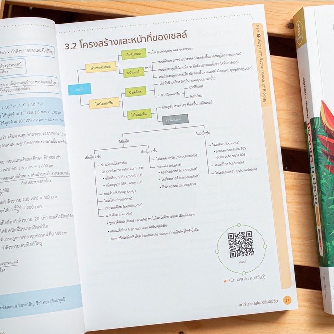 Infopress (อินโฟเพรส) สรุปเข้ม + ข้อสอบ ชีววิทยา ม.ปลาย ฉบับสมบูรณ์ มั่นใจเต็ม 100 - 71502