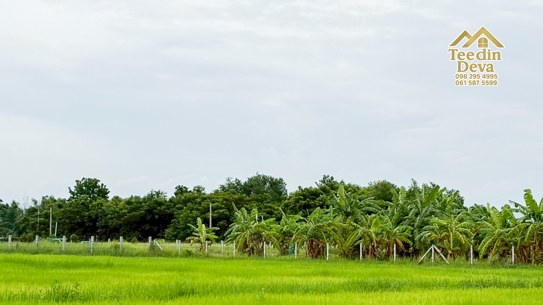 ที่ดินนครนายก ราคาถูก 100 ตรว พร้อมขุดโคกหนองนาให้ฟรี ต.ศรีนาวา อ.เมือง จ.นครนายก