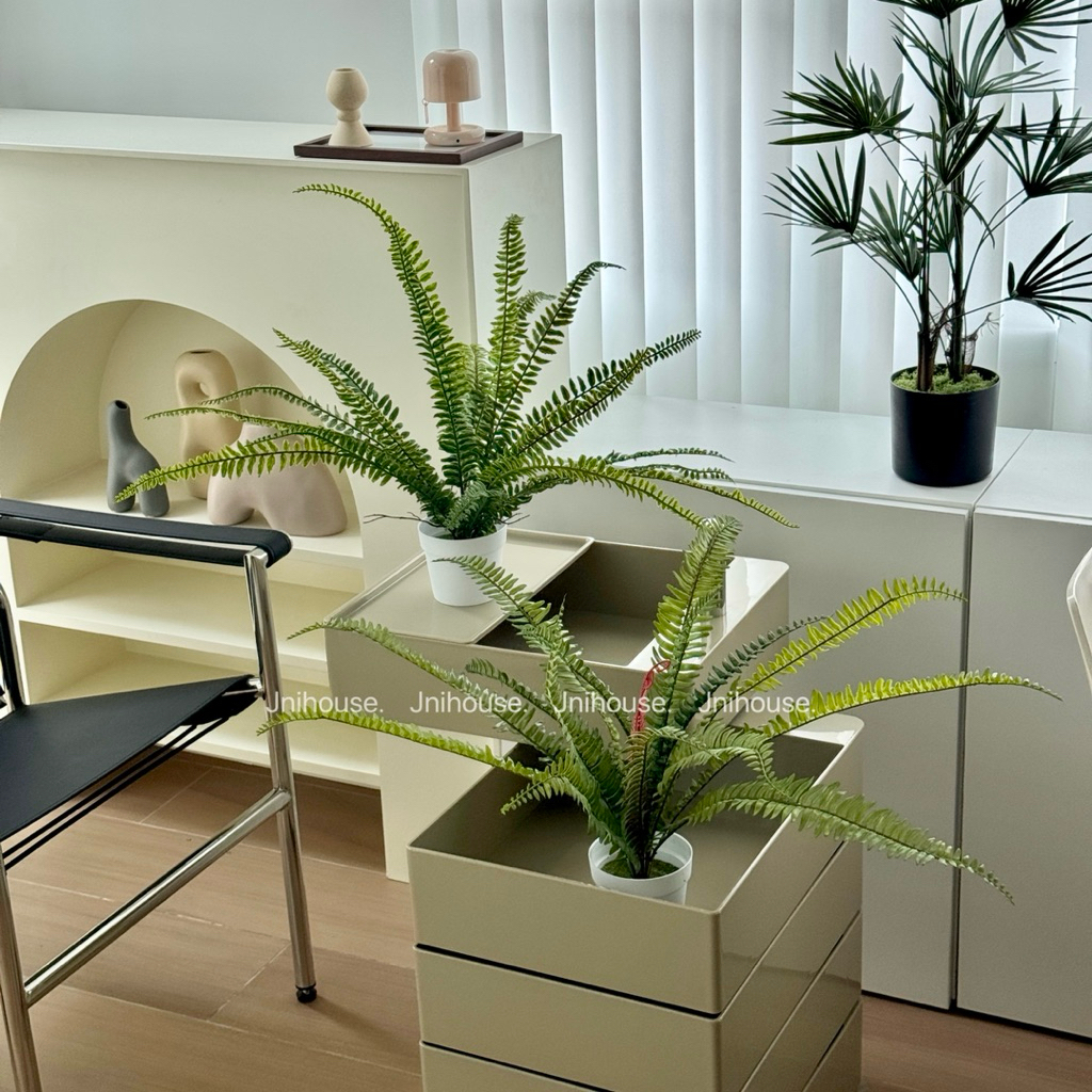[พร้อมส่ง] Jnihouse : ต้นเฟิร์นบอสตัน ต้นไม้ประดิษฐ์ (Tree
