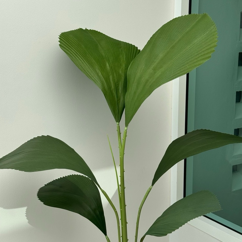 [พร้อมส่ง] Jnihouse : ต้นปาล์มใบพัด ต้นไม้ประดิษฐ์สูง 130 cm (Tree)