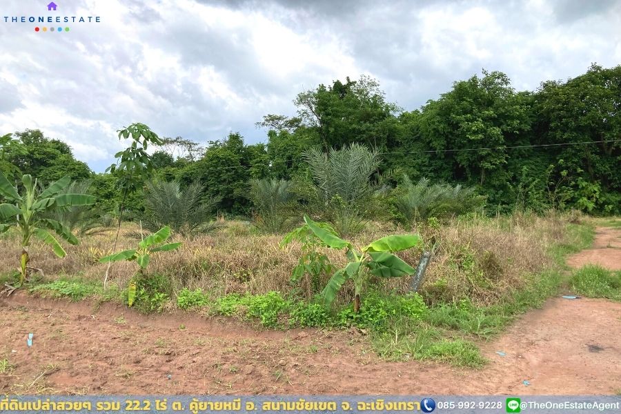 📣 ที่ดินสวย 22.2 ไร่ แปลงยาวสวย ซื้อเก็บลงทุนยาว ปลูกบ้าน ทำการเกษตร ทำสวน เลี้ยงปลาดีมาก ต.คู้ยายหมี อ.สนามชัยเขต จ.ฉะเชิงเทรา The Best ! | โทร. 085-992-9228