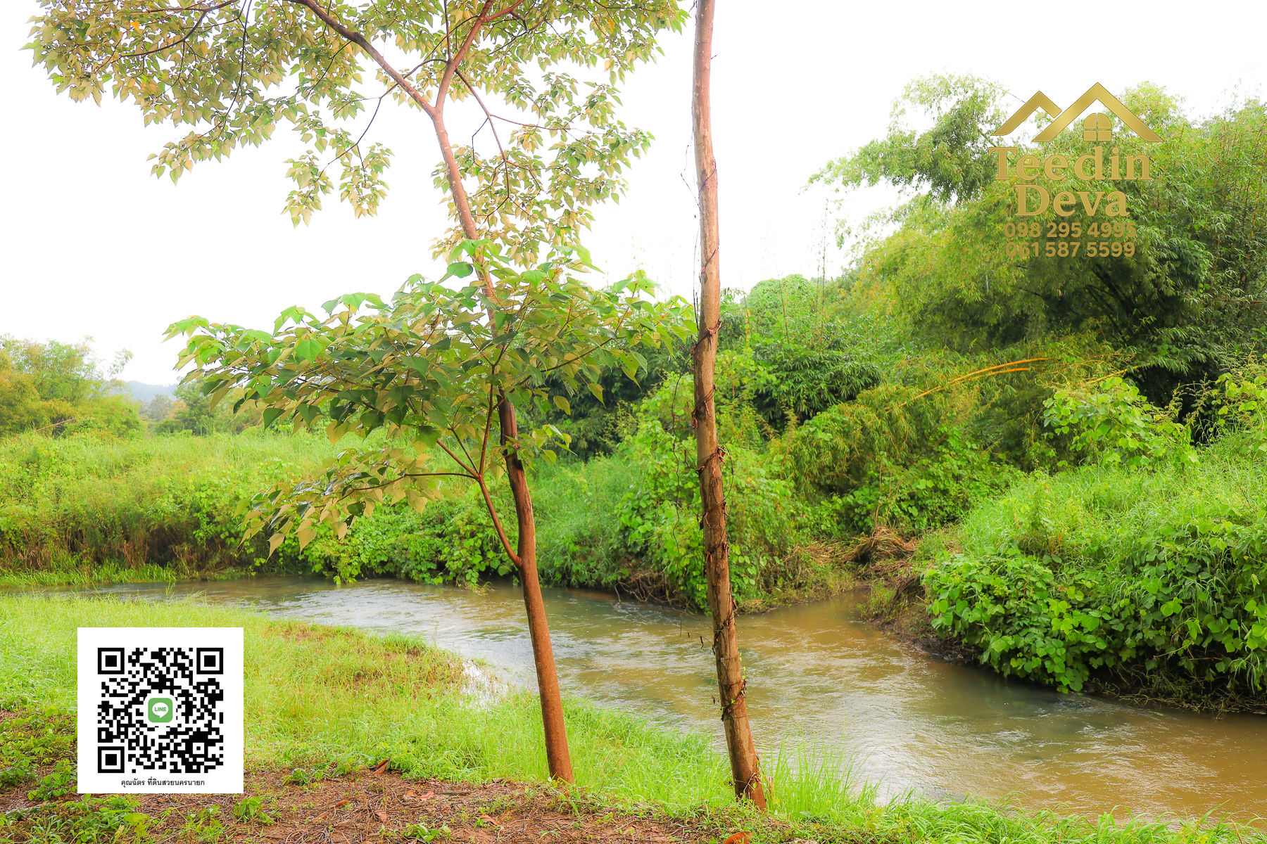 🌿 สร้างบ้านในฝัน วิวเขาใหญ่ ติดริมลำธารธรรมชาติ 237 ตร.ว. ต.หินตั้ง อ.เมือง จ.นครนายก 🌄