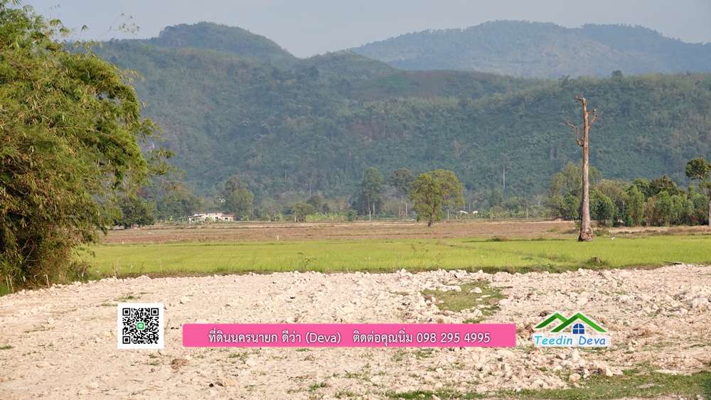 ที่ดินนครนายก วิวทุ่งนาต้นยางสวยๆ ขนาด 4 ไร่ ราคาไร่ละ 1.5 ล้าน ต.เขาเพิ่ม อ.บ้านนา จ.นครนายก