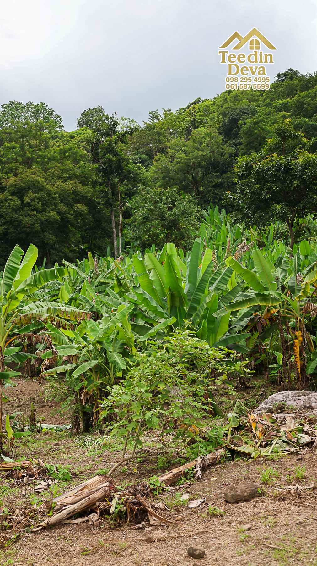 ที่ดินติดภูเขา เนินสวย พร้อมพัฒนารีสอร์ทหรือพูลวิลล่า 1 ไร่ ต.เขาพระ อ.เมือง จ.นครนายก 🏡