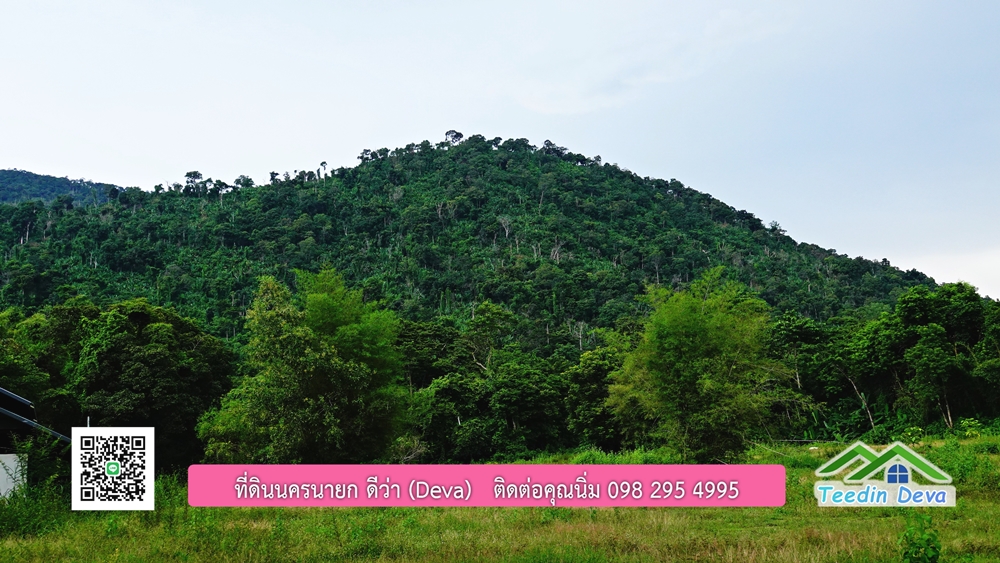 ที่ดินนครนายก ติดลำธารสวยๆ ที่ดินแปลงสวย 6 ไร่ ทำเลดี ในอ้อมกอดของขุนเขา ด้านหลังติดลำธารธรรมชาติ