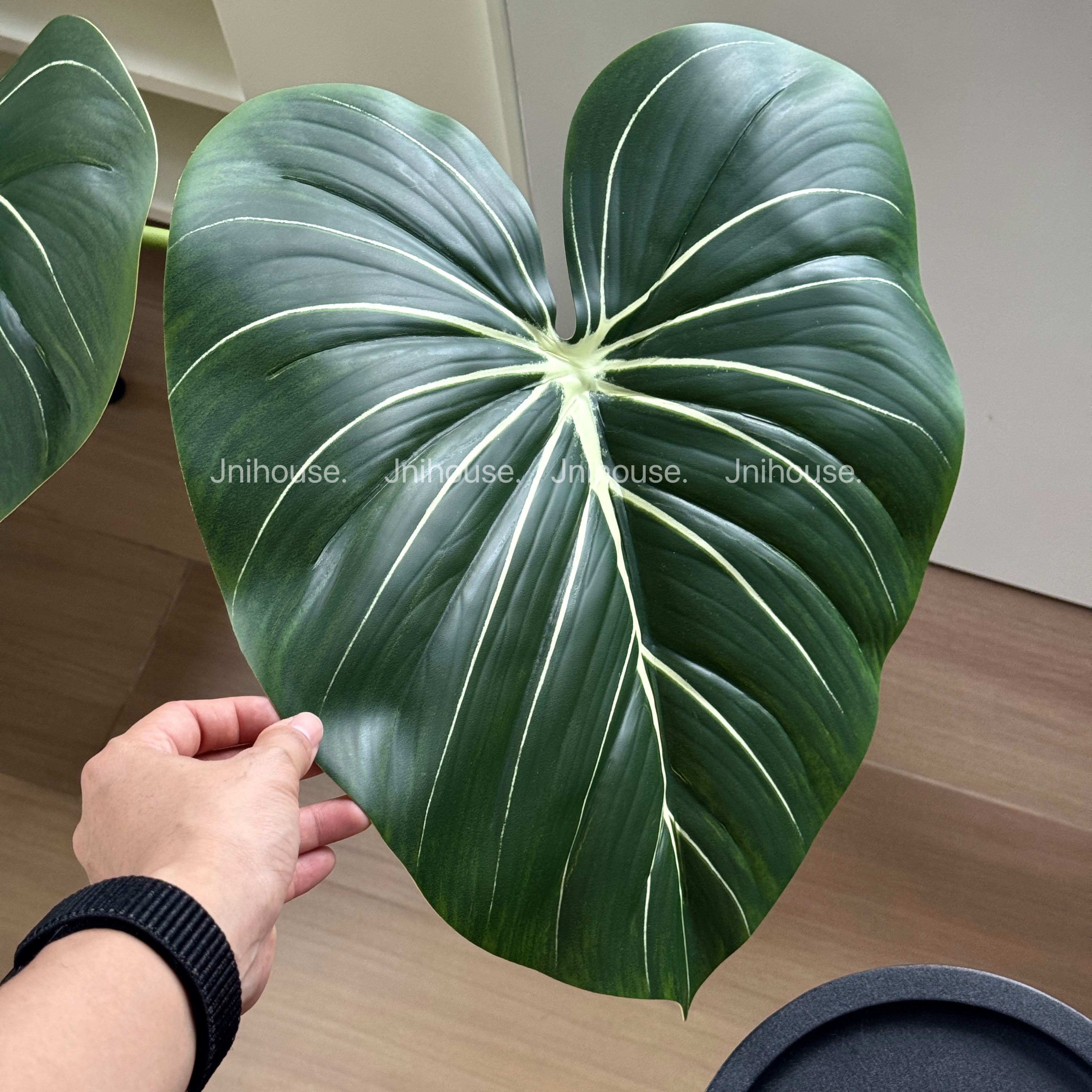[พร้อมส่ง] Jnihouse : กิ่งใบฟิโลเดนดรอนประดิษฐ์(Philodendron Leaf)(tree)