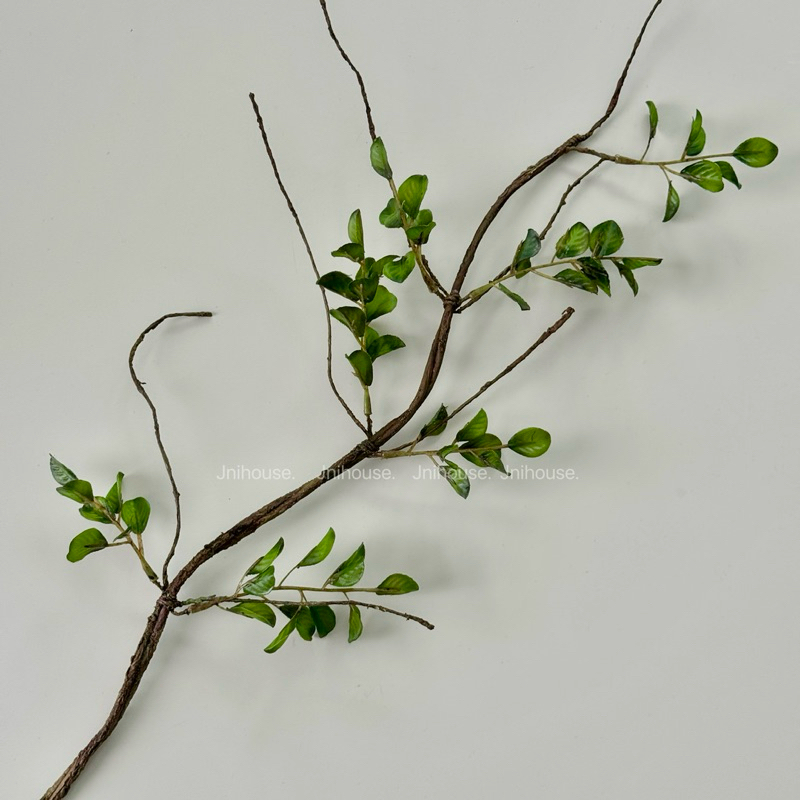 [พร้อมส่ง] Jnihouse : กิ่งไม้ประดิษฐ์สูง 75 cm (มีใบเขียว)