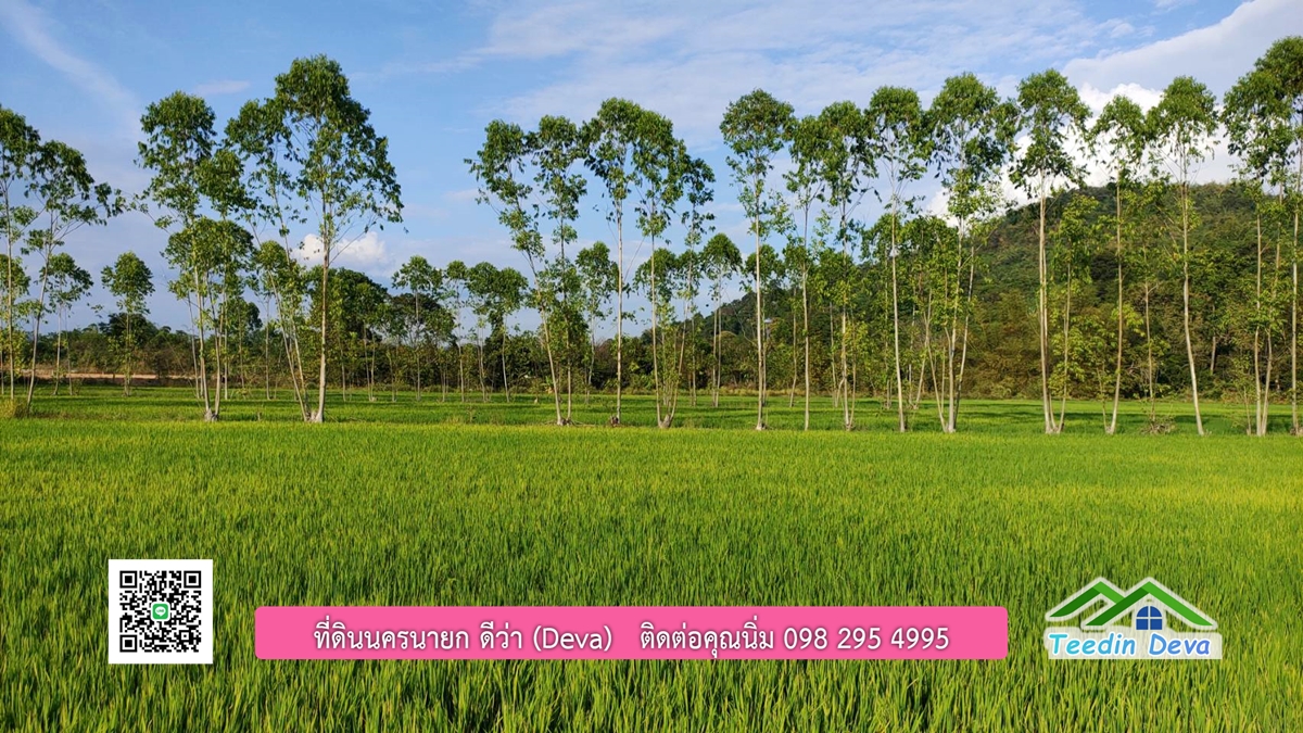 ขายที่วิวภูเขา 3 ไร่ ครุฑแดง อยู่ติดกับที่ดินของ ดาราคนดัง ต.เขาเพิ่ม อ.บ้านนา จ.นครนายก