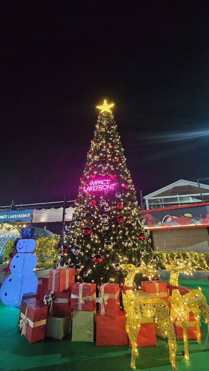 เลือกต้นคริสต์มาสปลอม"STYLE"