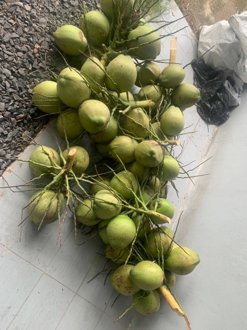 ที่ดินนครนายก บ้านสวนผลไม้ พื้นที่ 1 ไร่ 1 งาน ติดคลองส่งน้ำ ปลูกผลไม้หลากหลาย อ.ปากพลี จ.นครนายก