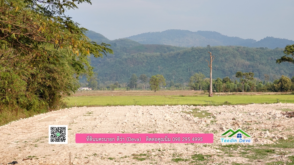 ที่ดินนครนายก วิวทุ่งนาต้นยางสวยๆ ขนาด 4 ไร่ ราคาไร่ละ 1.5 ล้าน ต.เขาเพิ่ม อ.บ้านนา จ.นครนายก