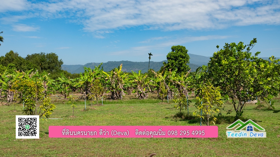 (ติดจอง) ที่ดินนครนายก บ้านสวน พร้อมที่ดิน ขนาด 1 ไร่ 1 งาน วิวภูเขาสวย อยู่ใกล้เขื่อนขุนด่านปราการชล