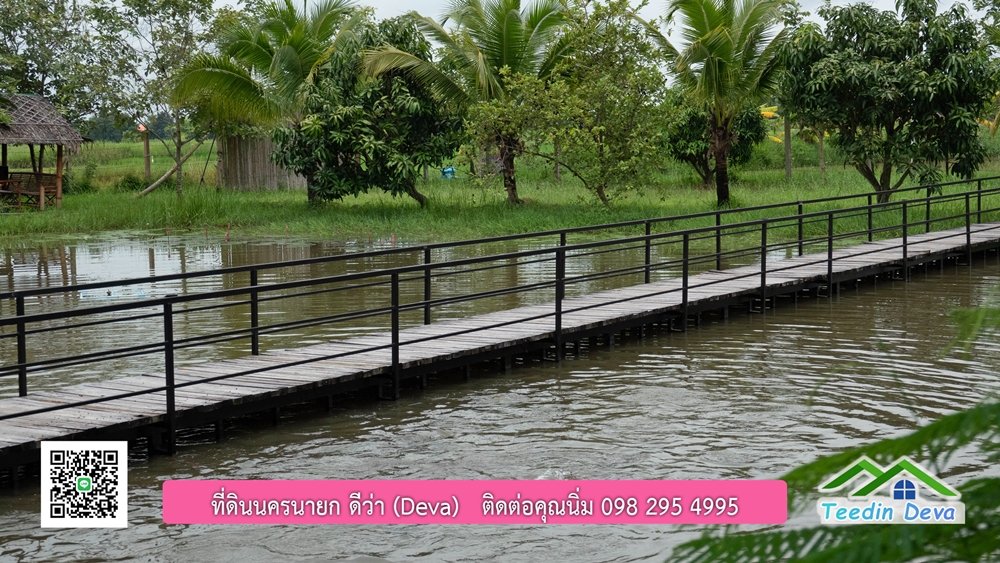 ขายบ้านสวน กลางนา วิวเขาใหญ่ ต.สาริกา อ.เมือง จ.นครนายก