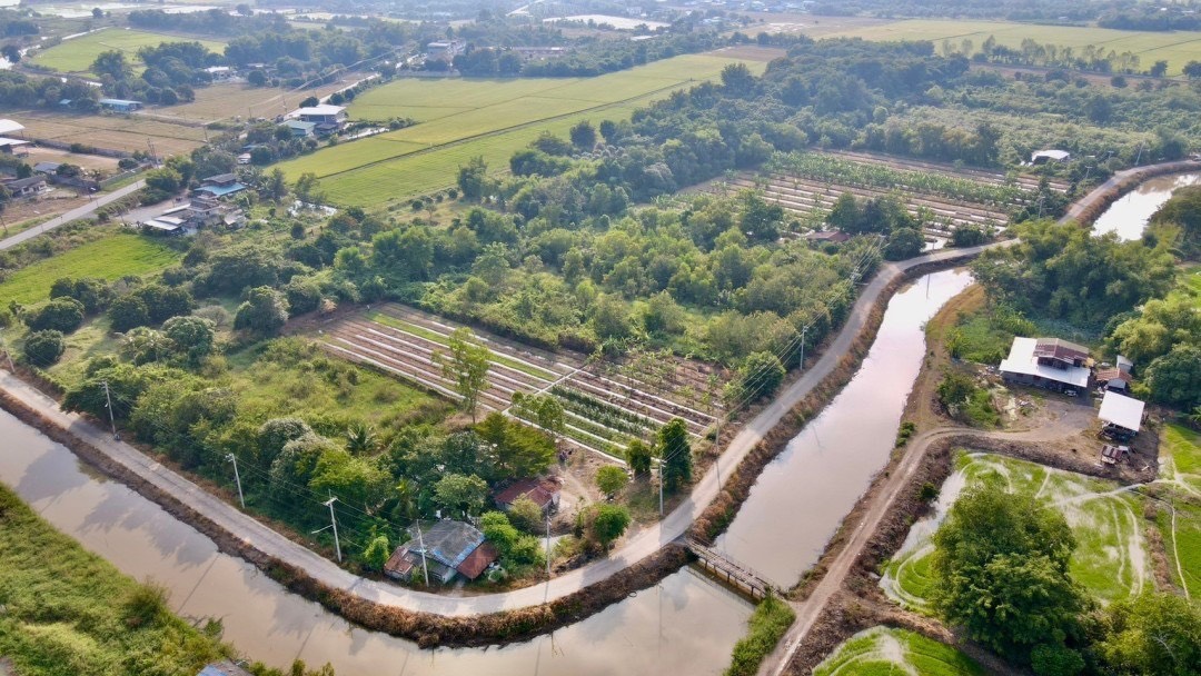 🔥 ที่ดินสวย ทำเลดี ที่ดินเชิงเกษตร ต.หนองจระเข้ อ.หนองแค จ.สระบุรี