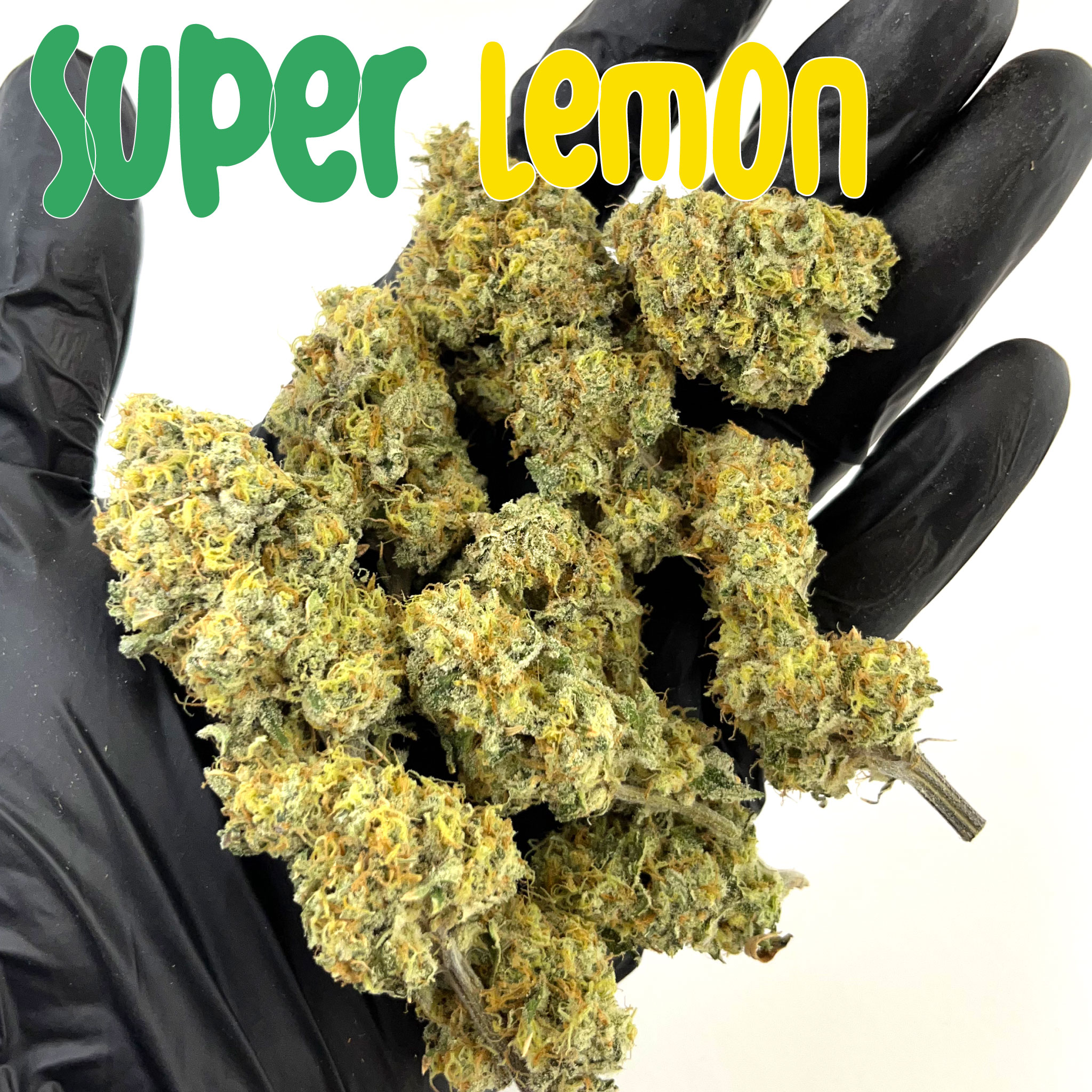 Super Lemon (In Door)