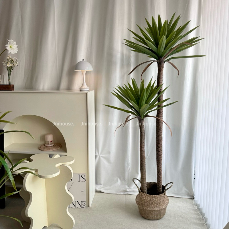 [พร้อมส่ง] Jnihouse : Dragon Tree (version.2)