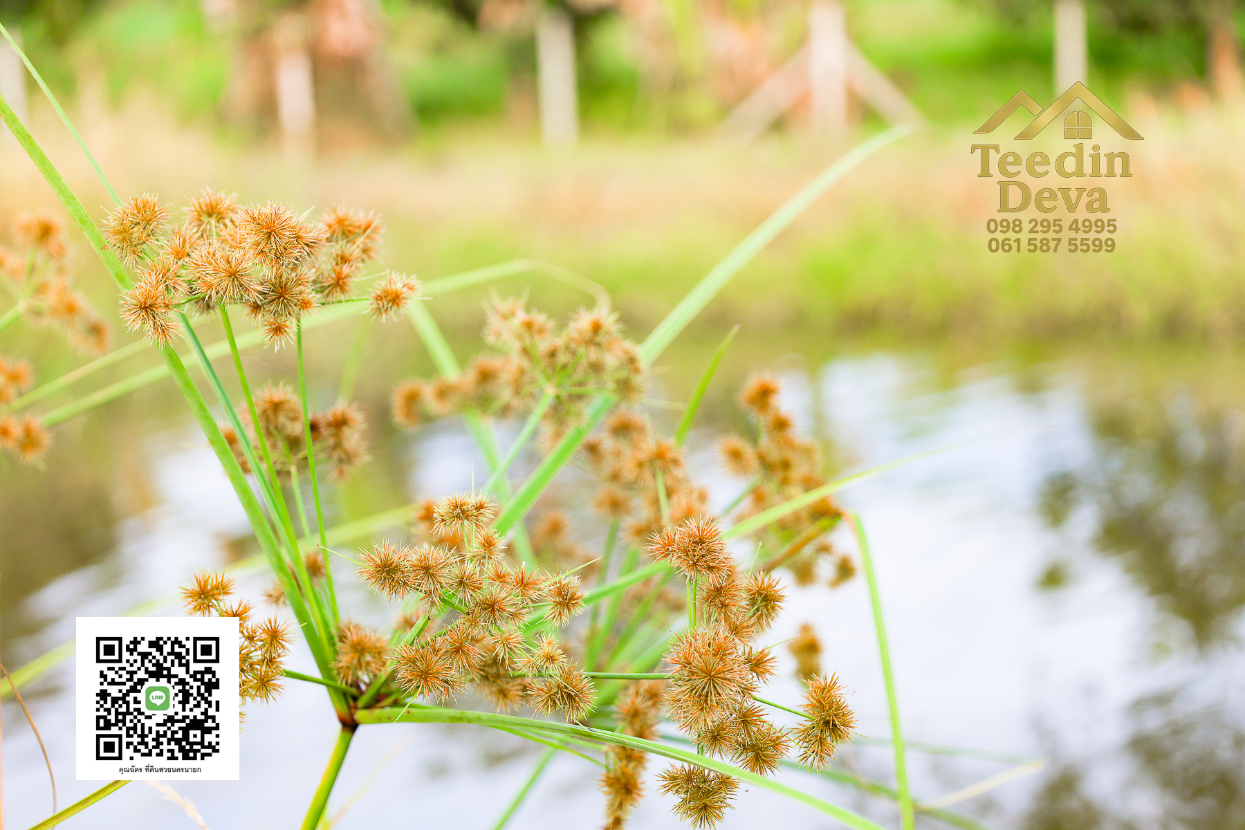 💭 ตื่นเช้าลมเย็น เห็นเขาใหญ่ตรงหน้า... ที่ดินสวนผลไม้ 2 ไร่ 3 งาน ต.นาหินลาด อ.ปากพลี จ.นครนายก