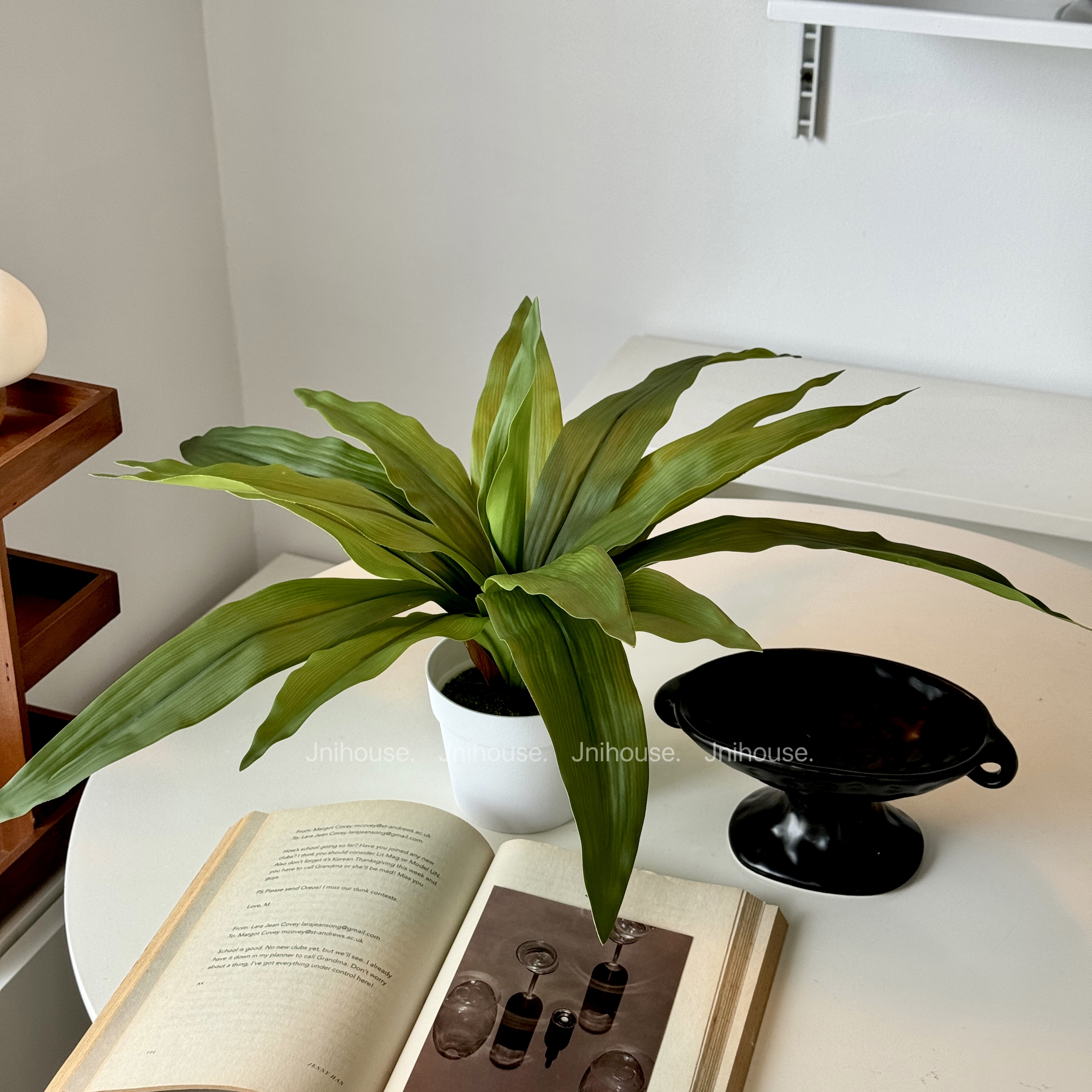 [พร้อมส่ง] Jnihouse : ต้นวาสนา ต้นไม้ประดิษฐ์ (Tree)