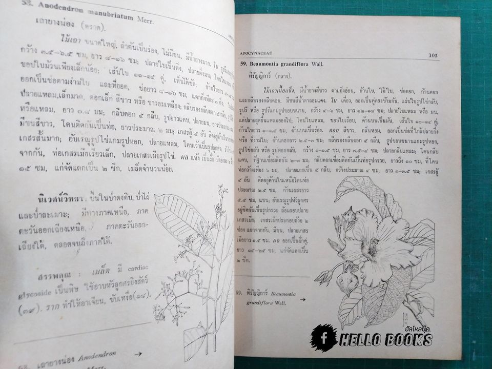 สมุนไพรไทย ตอนที่ 1 - 3