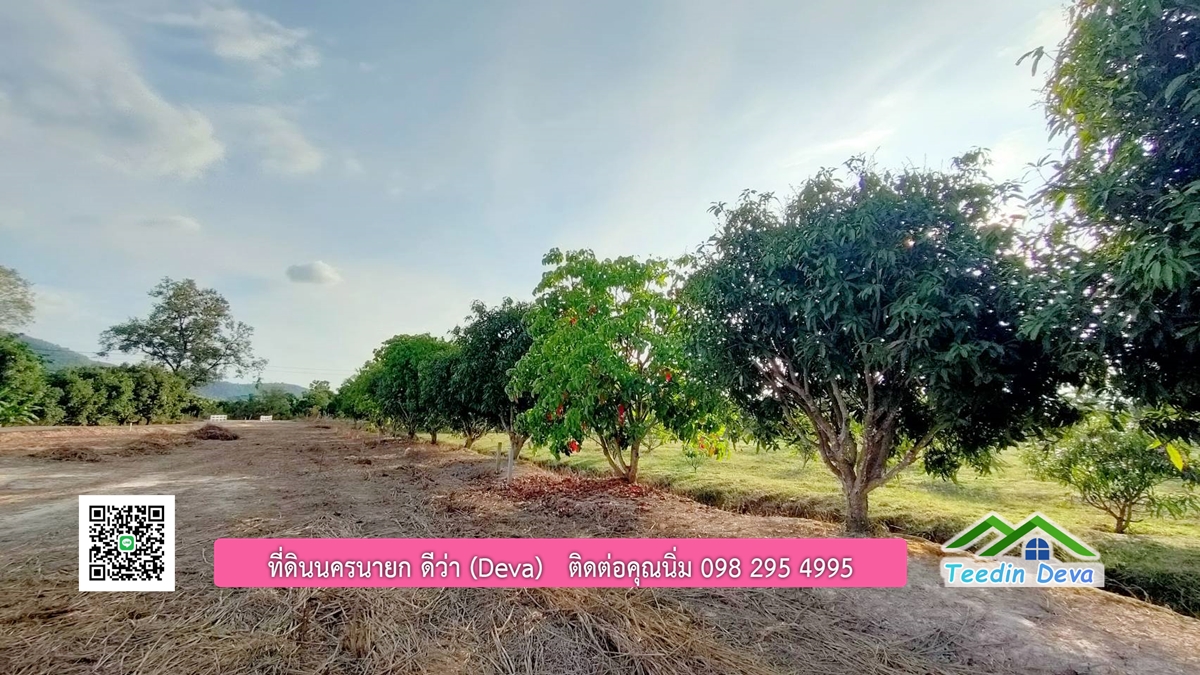 ที่ดินวิวภูเขา แปลงสวย เนื้อที่ 1 ไร่ 3 งาน ด้านหน้าวิวภูเขา ด้านหลังเป็นสวนผลไม้ ต.เขาเพิ่ม อ.บ้านนา จ.นครนายก