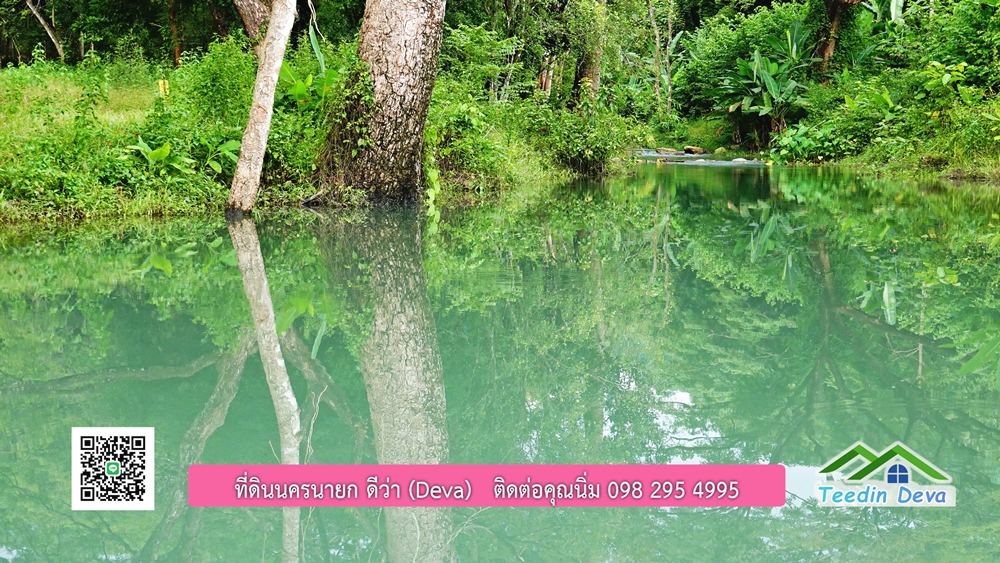 ที่ดินนครนายก ติดลำธารสวยๆ ที่ดินแปลงสวย 6 ไร่ ทำเลดี ในอ้อมกอดของขุนเขา ด้านหลังติดลำธารธรรมชาติ