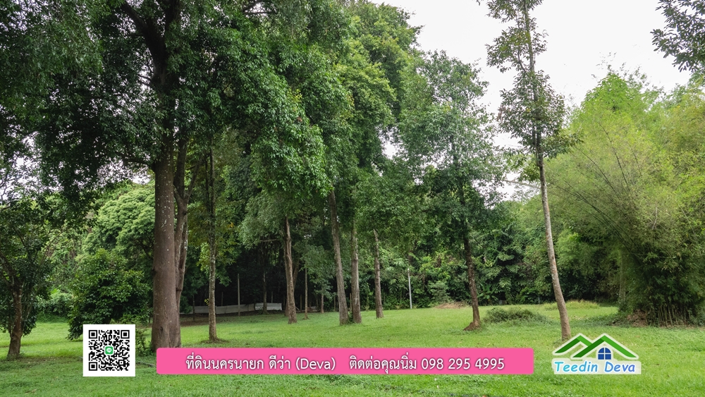 ที่ดินนครนายก ติดแม่น้ำ 14 ไร่ พื้นที่ติดแม่น้ำ 400 เมตร ชมลำธารสวยๆ บรรยากาศสบายๆ ต.สาริกา อ.เมือง จ.นครนายก