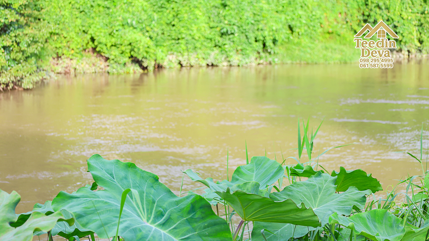 ที่ดินนครนายก ติดแม่น้ำ เนื้อที่ 4 ไร่ 2 งาน 64 ตรว. ต.สาริกา อ.เมือง จ.นครนายก