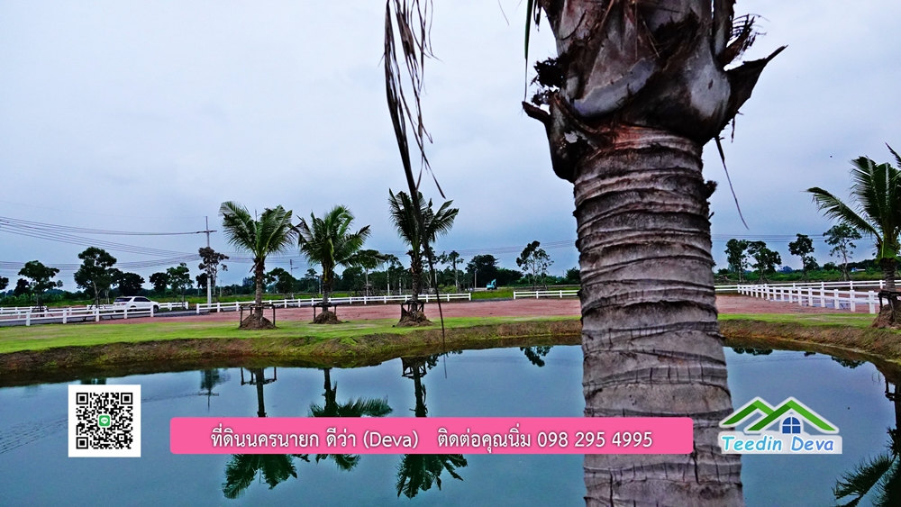 ที่ดินนครนายก โครงการ mountain 6