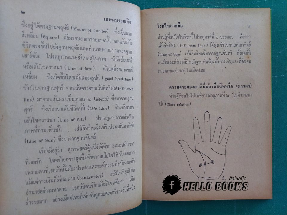 โรคในลายมือ