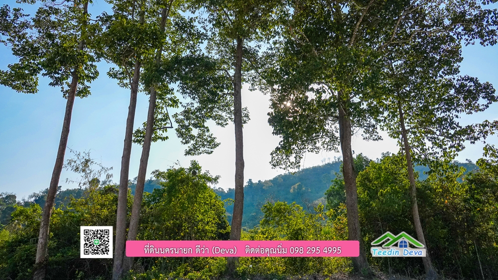 ที่ดินนครนายก แบ่งขายแปลงเล็ก ขนาด 210-803 ตร.ว. ใกล้แหล่งท่องเที่ยวจุดชมวิว