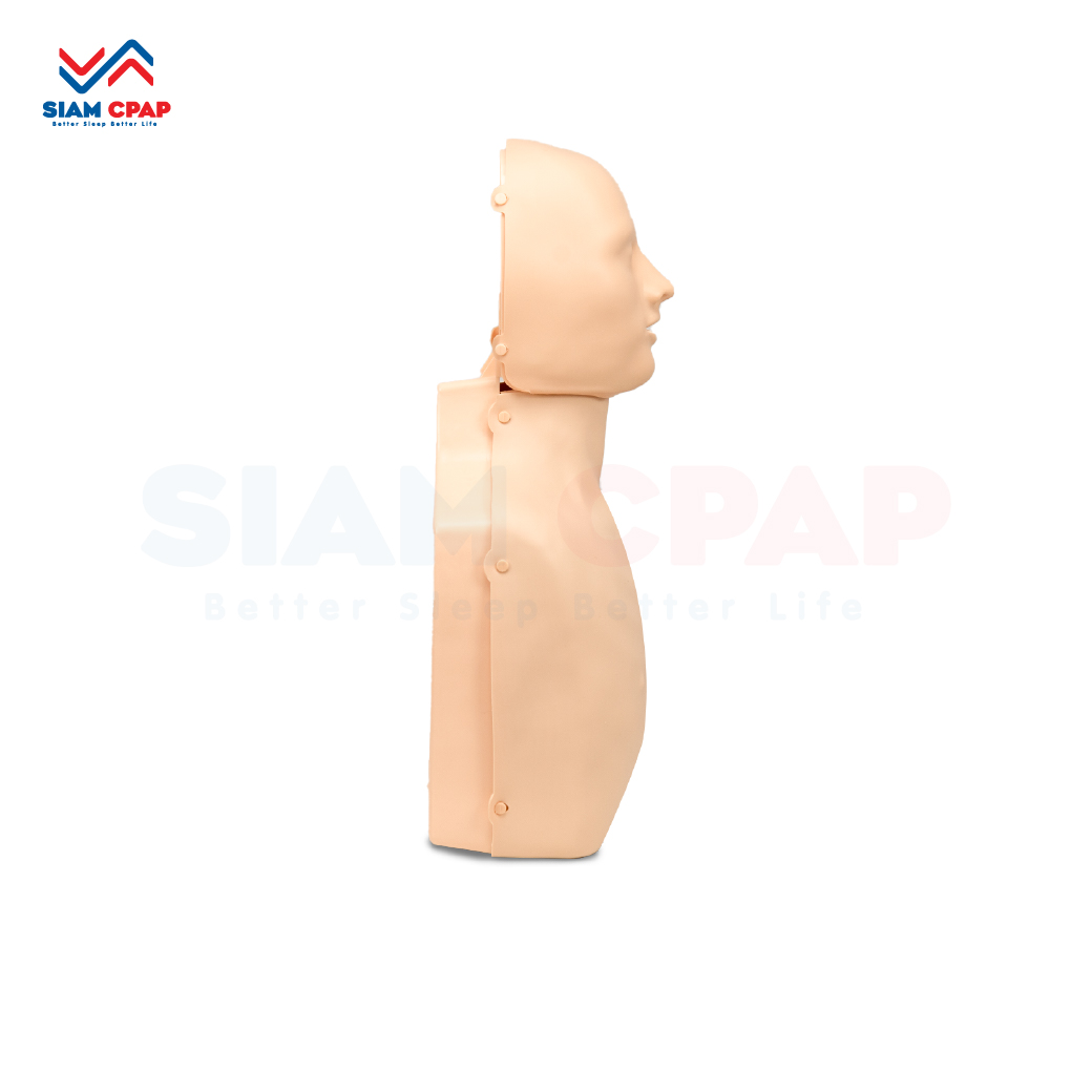 หุ่นจำลอง CPR หุ่นทำ CPR หุ่นจำลองสาธิตการใช้งาน