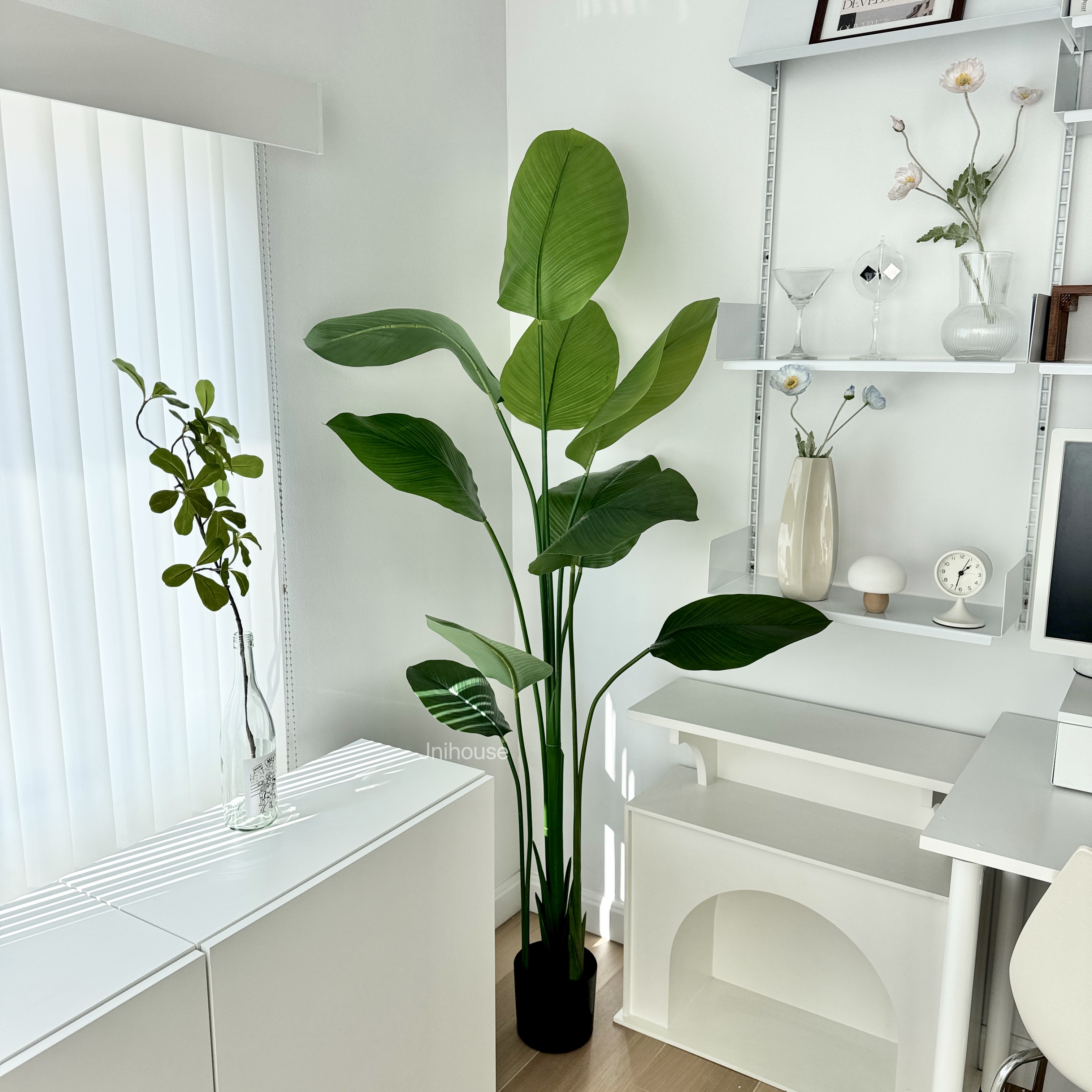 [พร้อมส่ง] Jnihouse : ต้นปักษาสวรรค์ประดิษฐ์(Tree) สูง 170 cm (ใบอ่อน)